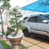 Outdoors view