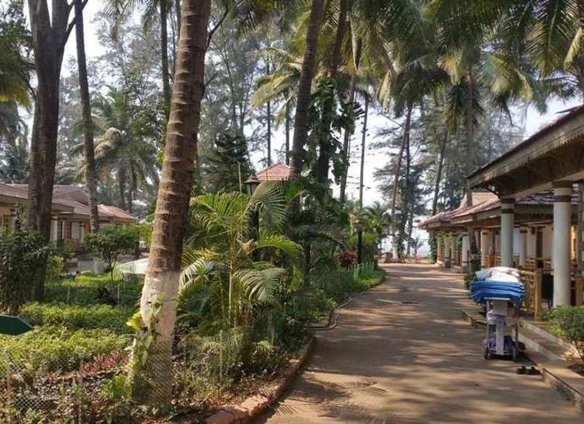 Outdoors view Photo