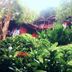 Outdoors view