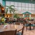 Quality Hotel Conference Center Cincinnati Blue Ash dining area with tables, chairs, and palm plants in Cincinnati