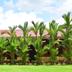 Outdoors view