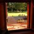 Outdoors view