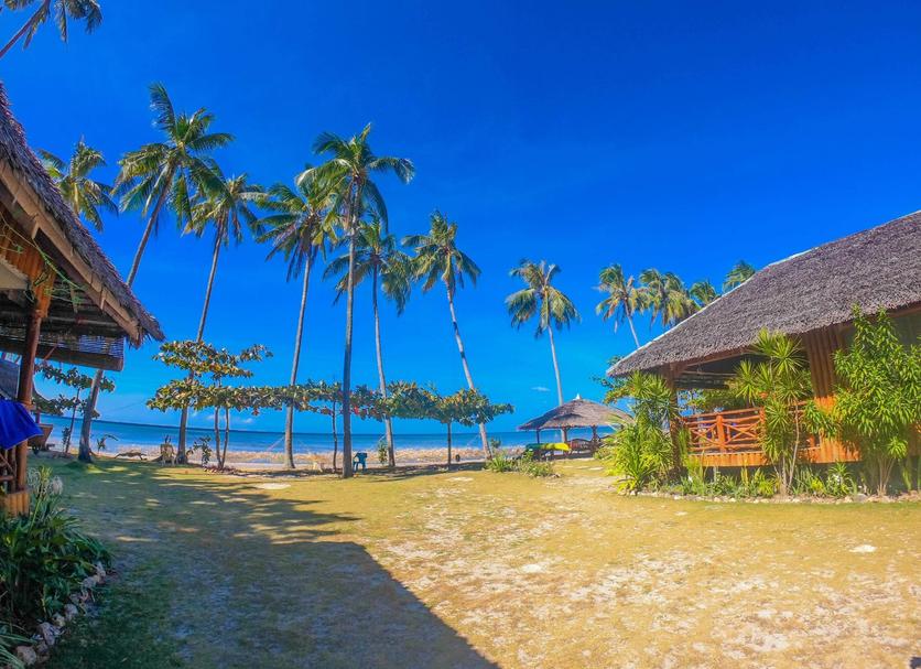 Outdoors view Photo