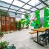 Home++ Xi'an in Xi'an: bright glass-roofed lounge with mural walls, long table, and plants