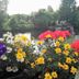 Outdoors view
