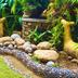 Outdoors view