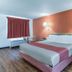Motel 6 Newport News, VA guest room with queen bed, coral accent wall, wood-look floor, and window