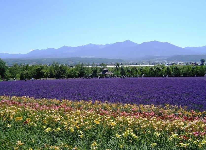 Outdoors view Photo