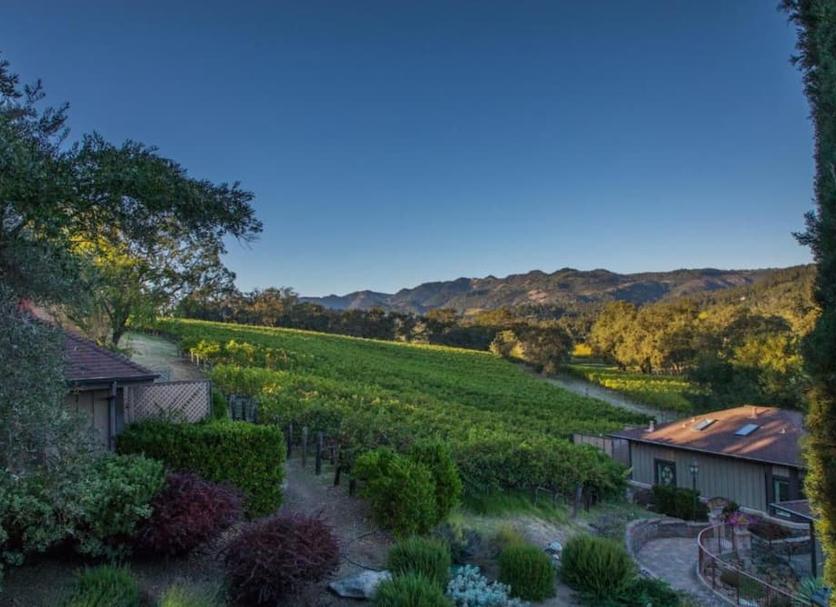 Outdoors view Photo