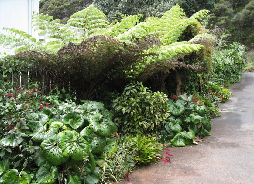 Outdoors view Photo