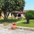 Outdoors view