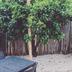 Outdoors view
