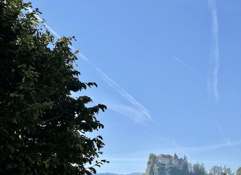 Other Photo