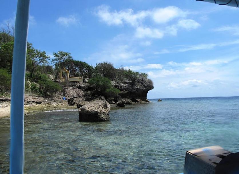 Other Photo