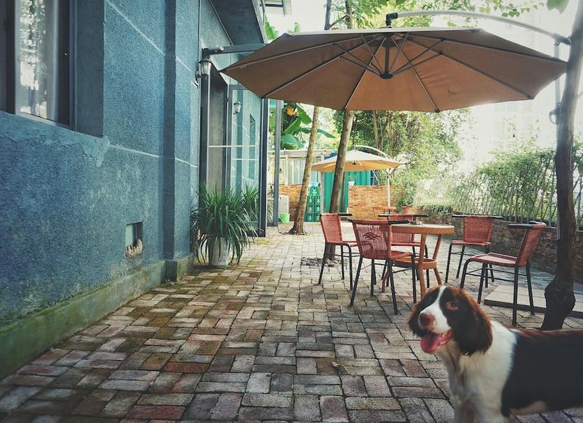 Patio Photo