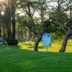 Outdoors view