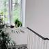 L'Affittacamere di Venezia in Venice stairwell with potted plants beside a window
