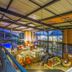 Sunrock Guesthouse in Kempton Park terrace with pool view and outdoor seating under a covered roof