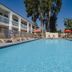 Motel 6 Thousand Oaks pool courtyard with lounge chairs and palm trees in Newbury Park