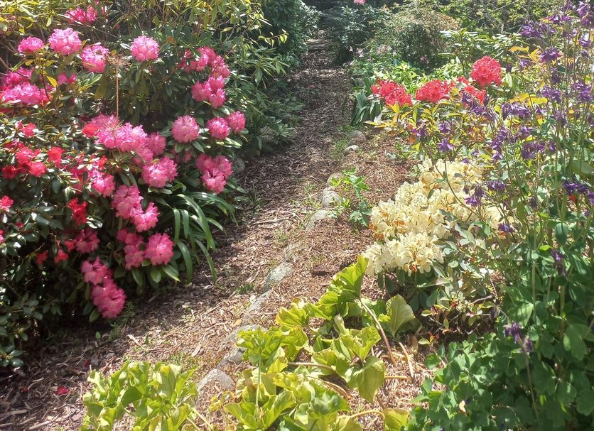 Riverstone House in Geraldine garden path lined with colorful blooming flowers and lush greenery