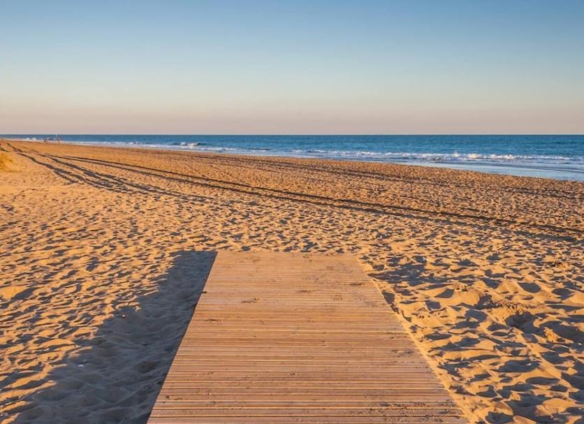 Beach Photo