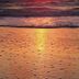 Studio 1 Motel in Daytona Beach with sunset waves reflecting on a sandy beach