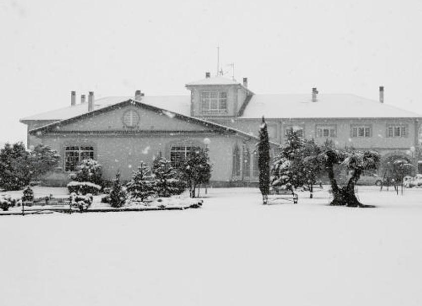 Other Photo
