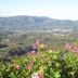 Agriturismo La Capitata in Pian di Scò with valley and mountain views over flowering greenery