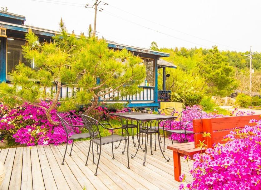 Patio Photo