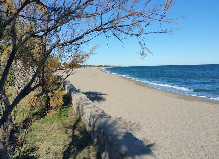 Beach Photo