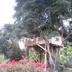Outdoors view