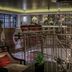 DoubleTree by Hilton London Greenwich lounge with velvet chairs and staircase railing in London