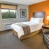 My Place Hotel - Rapid City, SD guest room with bed, armchair, window and orange accent wall