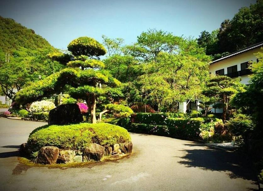 Outdoors view Photo