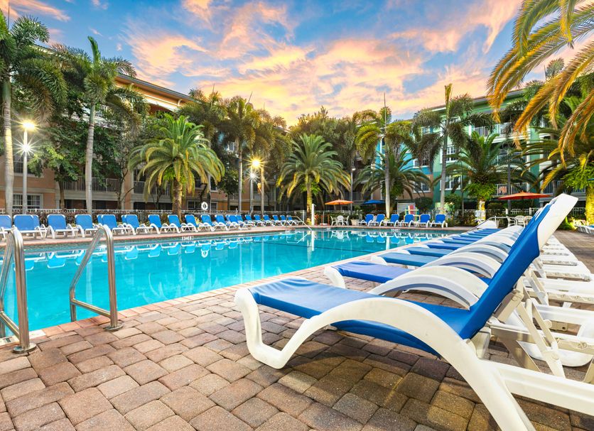Mizner Place at Weston Town Center pool deck with lounge chairs and palm trees in Weston