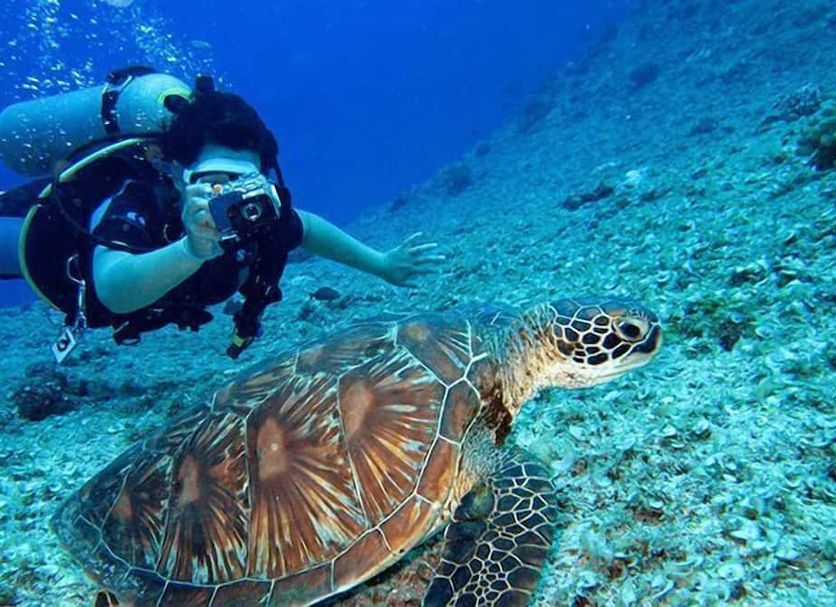The Oberoi Beach Resort, Sahl Hasheesh: scuba diver swimming beside a sea turtle underwater in Hurghada
