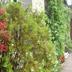 Outdoors view