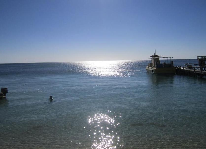 Other Photo