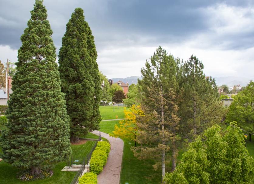 Outdoors view Photo