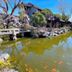 Changle Inn in Yangzhou with a pond, koi fish, stone bridge, and traditional garden buildings