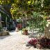 Hôtel La Casa Pairal in Collioure, garden courtyard with stone path, flowers and leafy trees