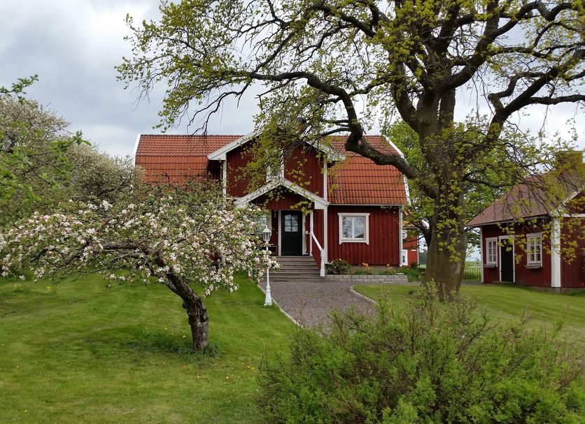 Brunnsta Gård in Bålsta, red countryside hotel buildings with a grassy garden and blooming tree