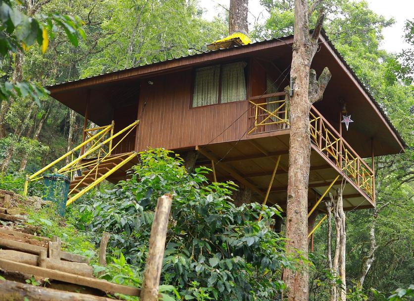 Outdoors view Photo