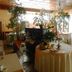Albergo Michieletto in Montano Lucino: dining room with set tables, plants, and tiled floor