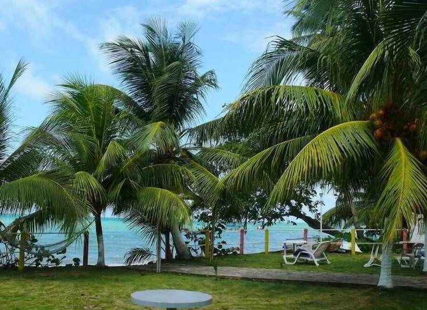 Other Photo