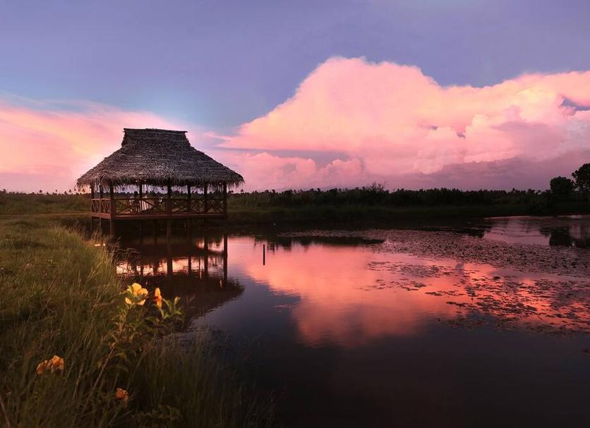 Outdoors view Photo