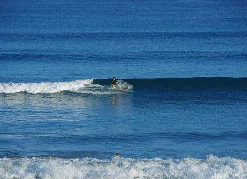 Other Photo