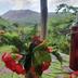 Outdoors view