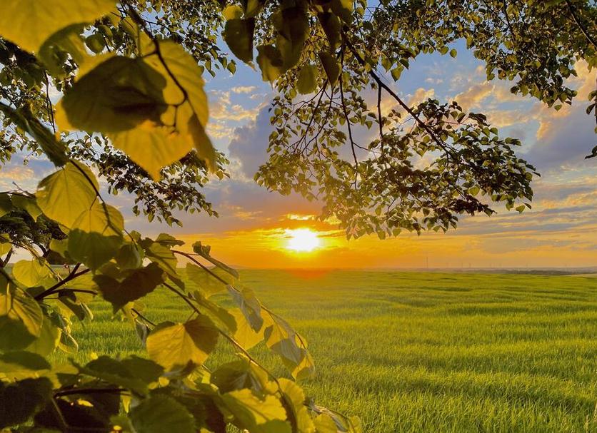 Outdoors view Photo
