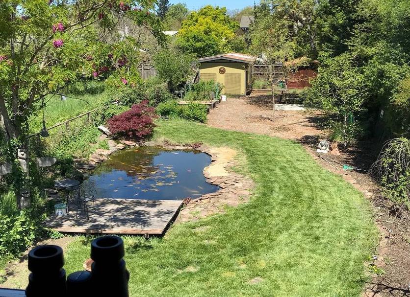 Outdoors view Photo
